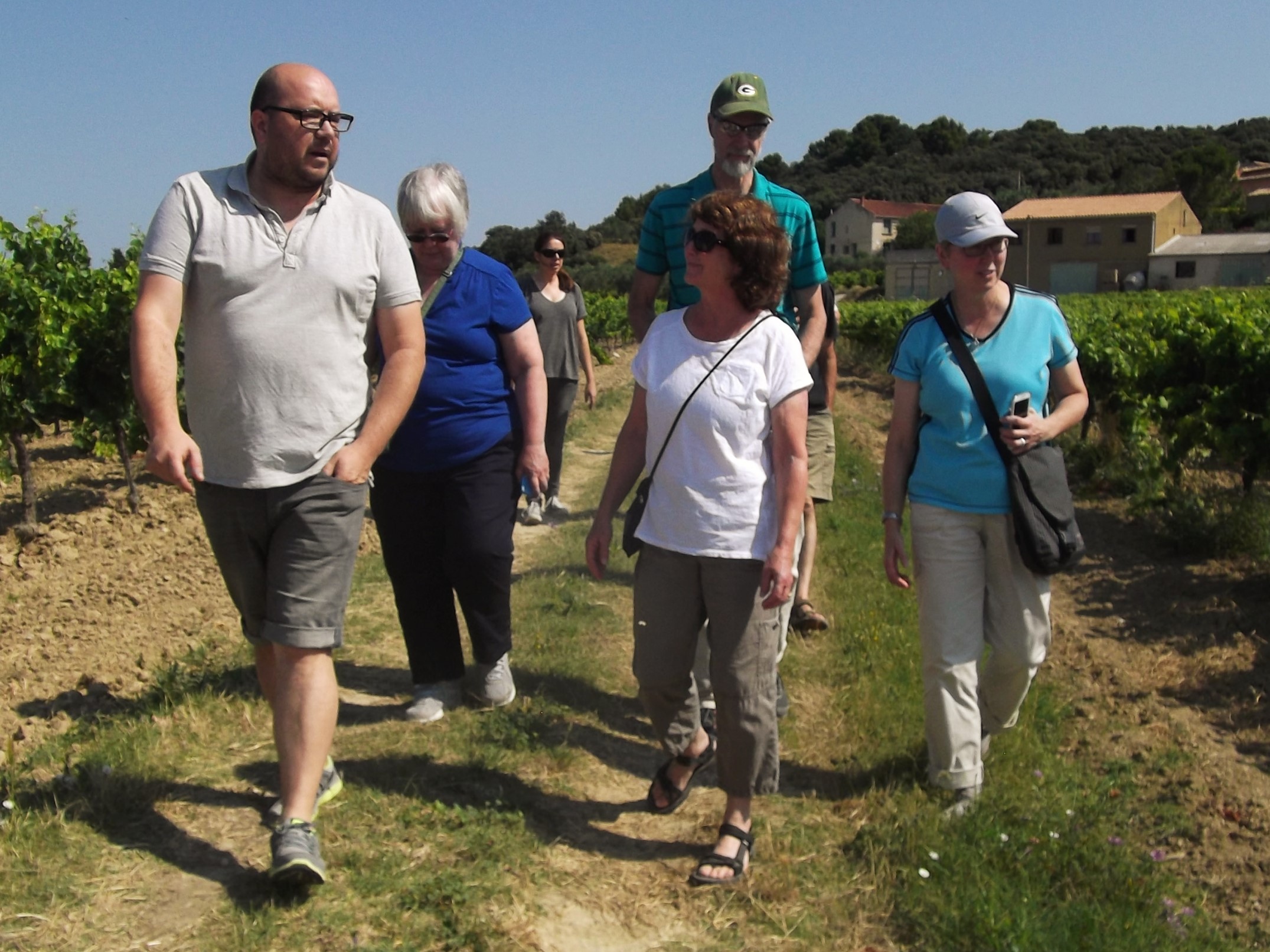 In the vineyards with a winemaker (Wilfried Pouzoulas, left)